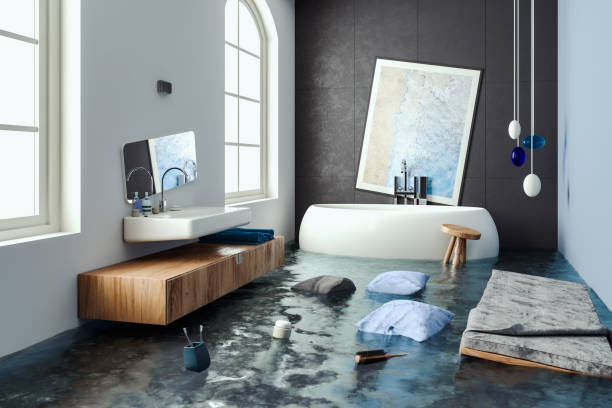 Best Professional water damage repair  in St City, AR