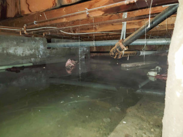 Best 24/7 water damage repair  in St City, AR