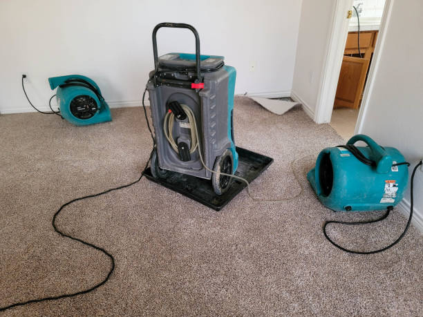 Reliable Star City, AR Water damage restoration Solutions