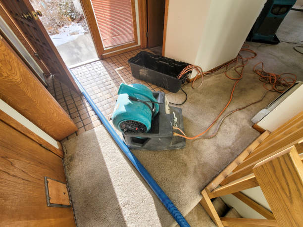Best Flood damage cleanup  in St City, AR
