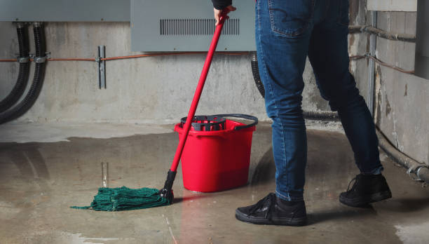 Best Water damage restoration near me  in St City, AR