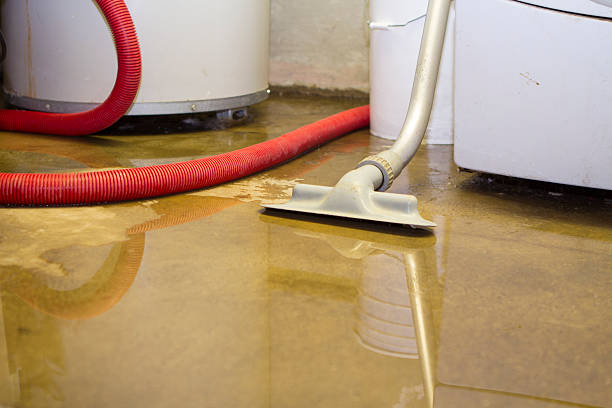 Best Mold removal after water damage  in St City, AR