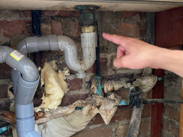 Best Water damage contractors near me  in St City, AR