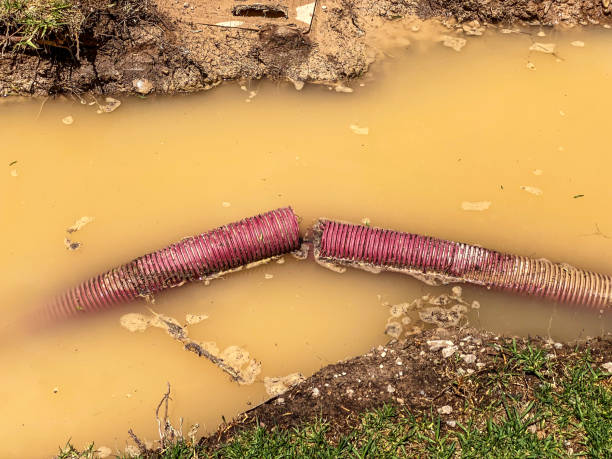 Local water damage restoration in Star City, AR